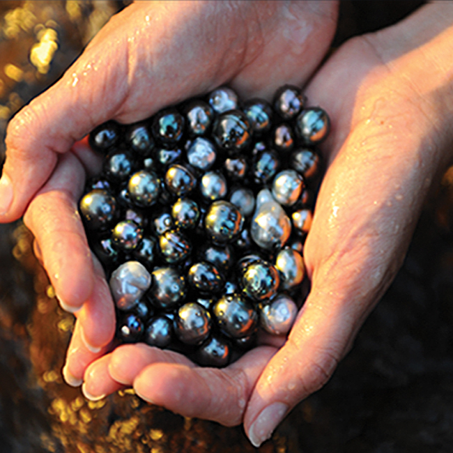 Tahitian Cultured Pearl